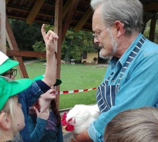 weißes Huhn besucht Kinder