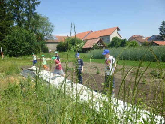 Kinder decken Erde mit Vlies ab