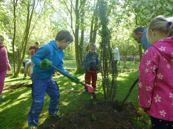 Spielhecke1