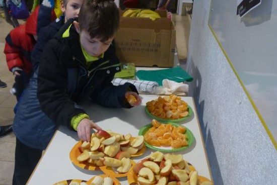 Sportprojekt Obst