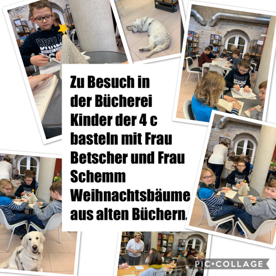 Schulhund Bücherei