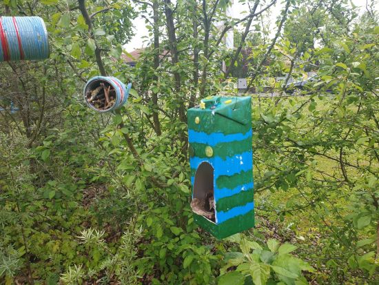 3bInsektUndVogelhäuschen