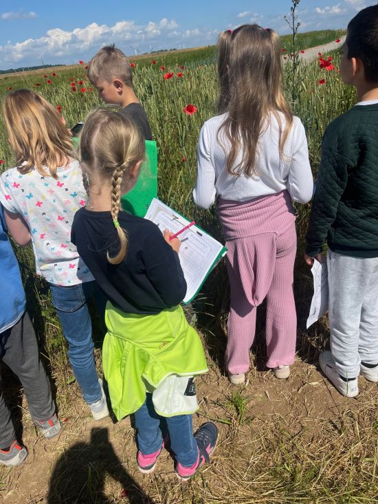 Wiese Unterrichtsgang Gruppe